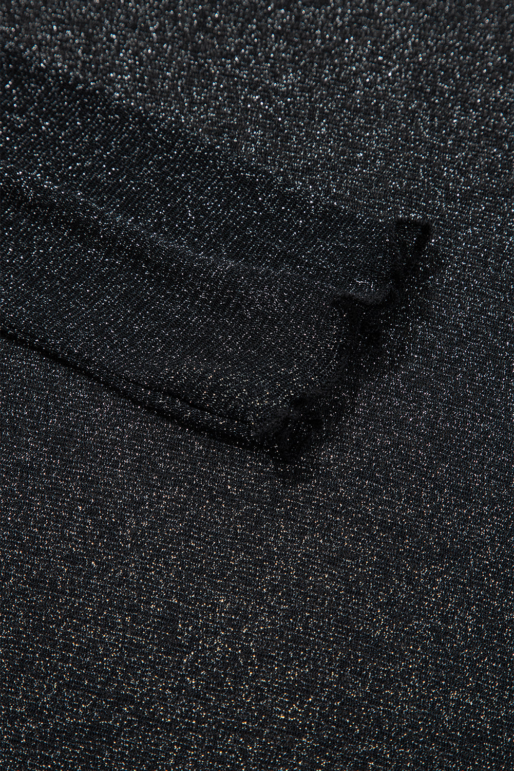 Metallic Glitter Sheer Mesh Long Sleeve Top