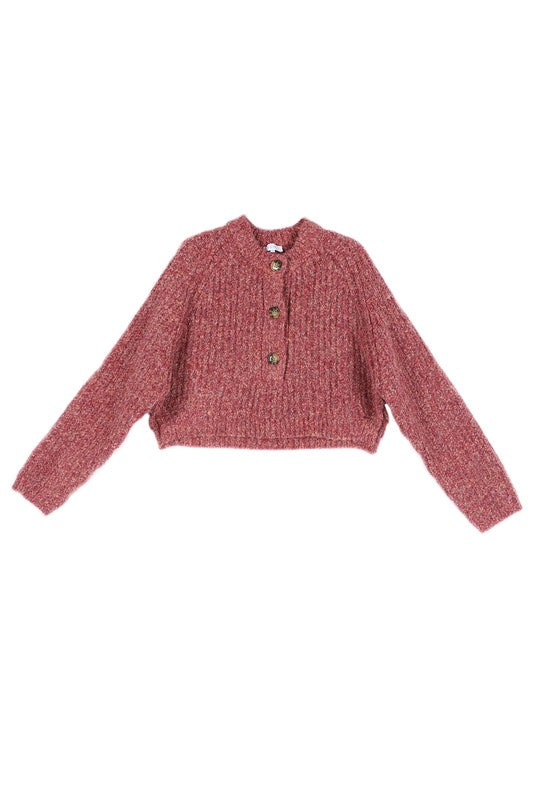 Aubrey Chunky Knit Cropped Sweater