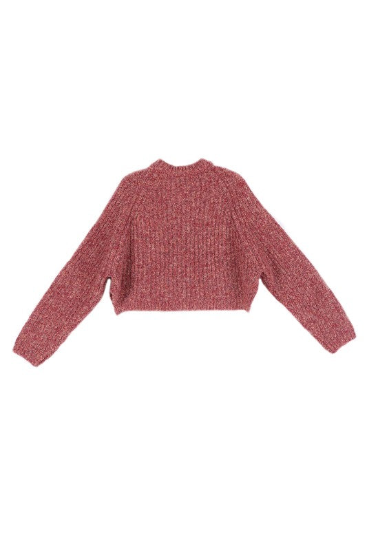 Aubrey Chunky Knit Cropped Sweater