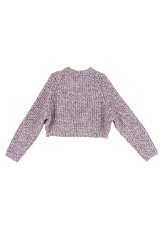 Aubrey Chunky Knit Cropped Sweater