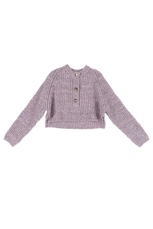 Aubrey Chunky Knit Cropped Sweater