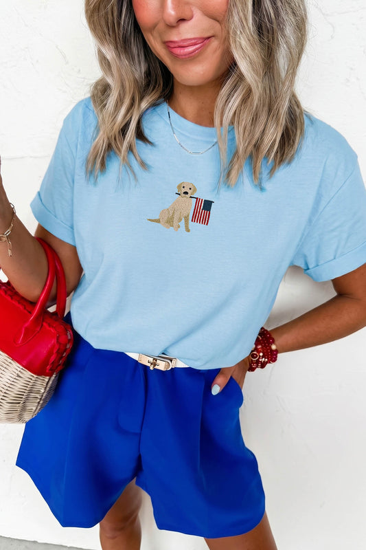 Americana Embroidered Graphic T Shirt