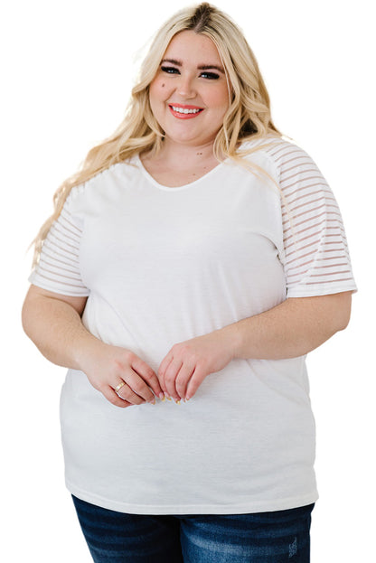 Curvy Carolina Raglan Sleeve Top