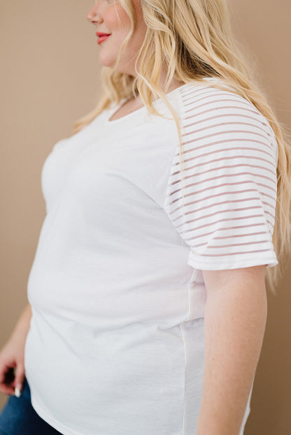 Curvy Carolina Raglan Sleeve Top