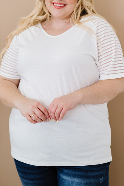 Curvy Carolina Raglan Sleeve Top